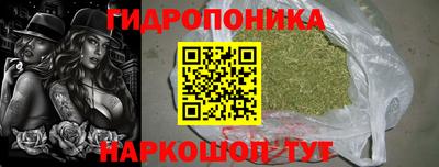 ГАЛЛЮЦИНОГЕННЫЕ ГРИБЫ Тула