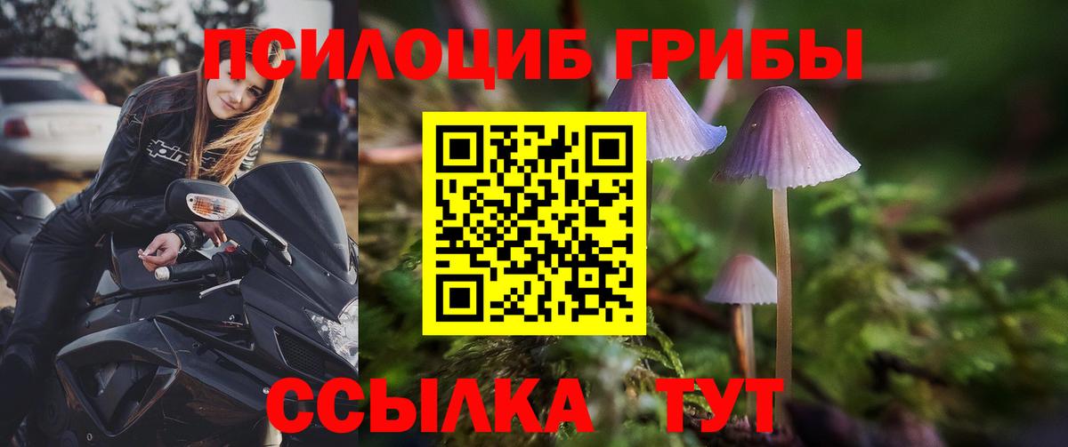 Галлюциногенные грибы GOLDEN TEACHER  Галлюциногенные грибы MAGIC MUSHROOMS  Воронеж  Вход с VPN 